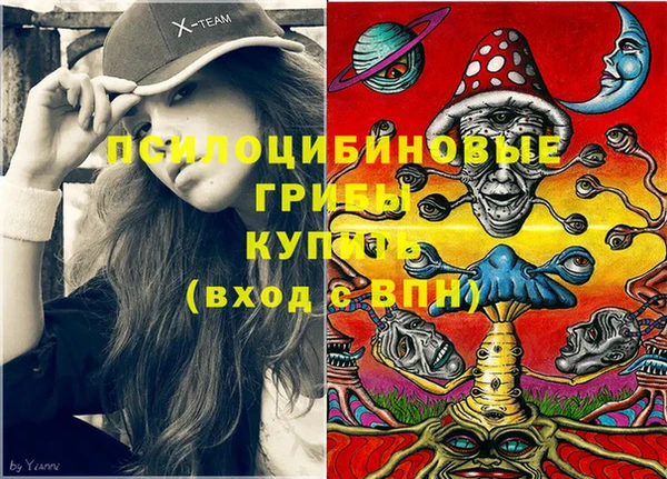 мяу мяу мука Алзамай