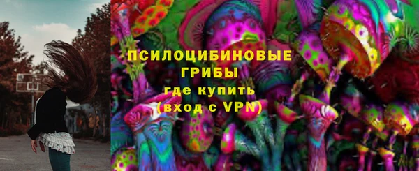 соль ск Алексин