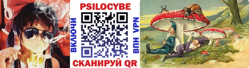 Псилоцибиновые грибы GOLDEN TEACHER  где купить наркоту  Спасск 